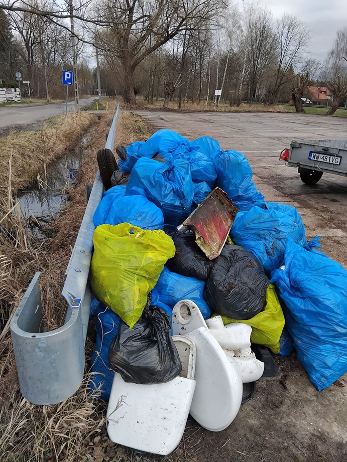 Sprzątanie Złotokłosu